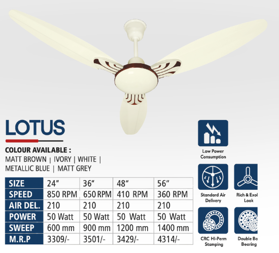 Ceiling Fan for Home